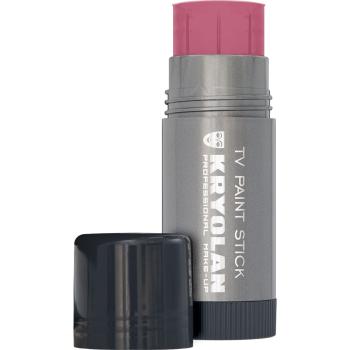 TV Paint Stick - 25 g - R30
